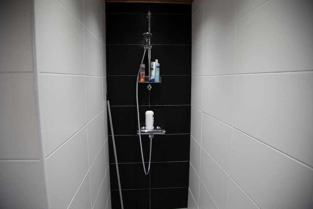 Seitapolku 12 Villa サーリセルカ エクステリア 写真